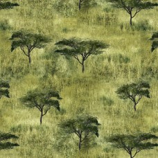 African Safari - 0223 X Grassland green